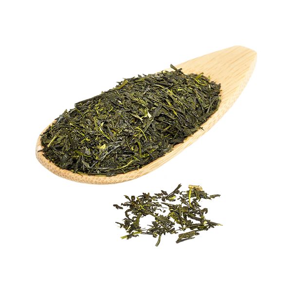Traditional Japanese Sencha Green Tea in Teacaddy
